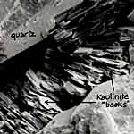 Binny stone under the microscope, image 2.