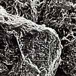 Binny stone under the microscope, image 3.