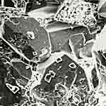 Binny stone under the microscope, image 4.