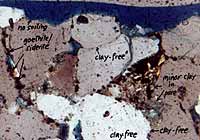 A thin-section of the stone.