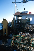  Two Dunbar fishermen creel fishing with creels stacked on deck 