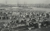 Scottish herring gutters at Lowestoft, c1900