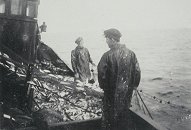 Hauling in the nets, c1920