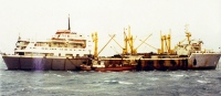 Fraserburgh purser unloads catch onto Klondyker, Ullapool, c1983