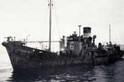 Photograph of Antarctic whaler, the 'Southern Briar', taken around 1955