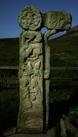 The Canna Cross