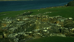 Evidence of a Norse settlement