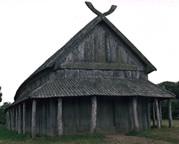 Viking hall