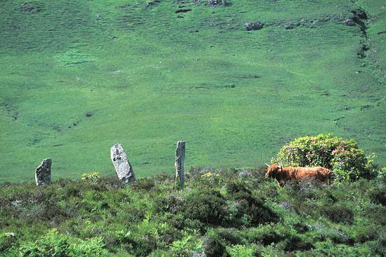 Na Clachan Bhreige hi-res image