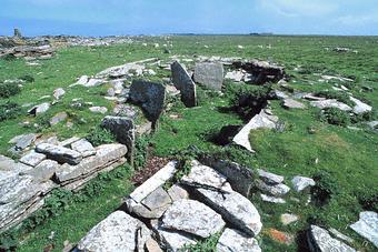 Holm of Papa Westray North image